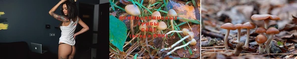 jwh Верея