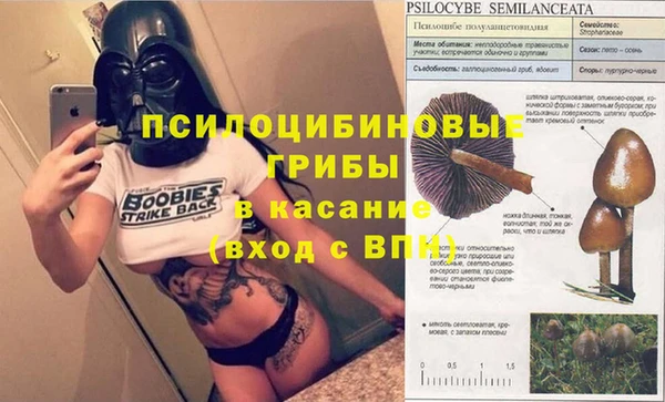 jwh Верея