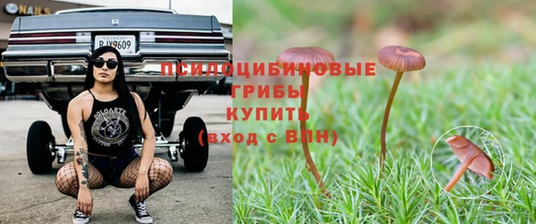 jwh Верея