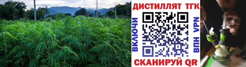 ТГК THC oil  Катайск 