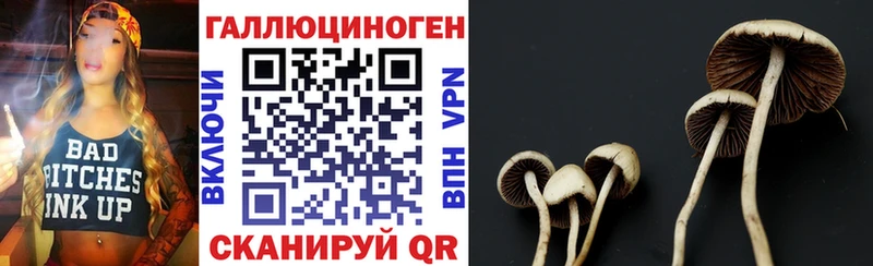 darknet клад Катайск Галлюциногенные грибы прущие грибы